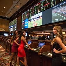 79zgg